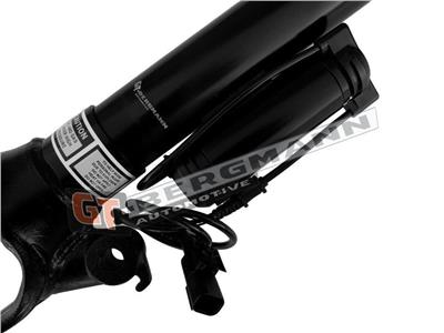 GT BERGMANN GT25-050