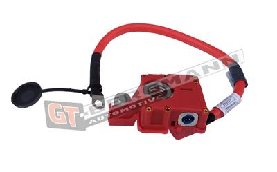 GT BERGMANN GT40-013 EAN: 5907764526171.