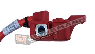 GT BERGMANN GT40-013 EAN: 5907764526171.