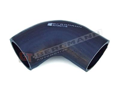 GT52-029