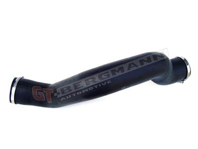 GT BERGMANN GT52-117 EAN: 5907764512143.