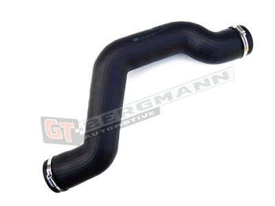 GT BERGMANN GT52-117 EAN: 5907764512143.