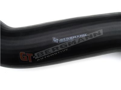 GT BERGMANN GT52-136 EAN: 5907764513768.