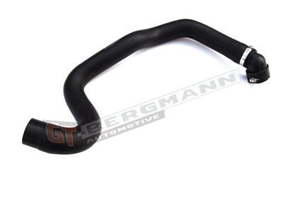 GT BERGMANN GT52-142 EAN: 5907764513843.