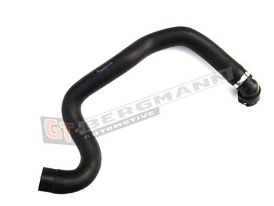 GT BERGMANN GT52-203 EAN: 5907764515724.