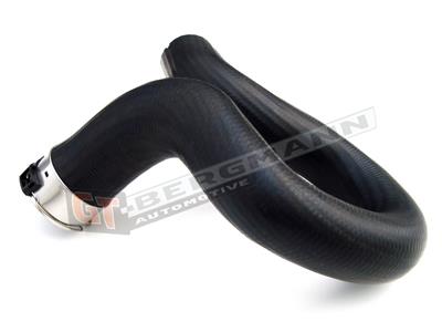 GT BERGMANN GT52-160 EAN: 5907764514024.
