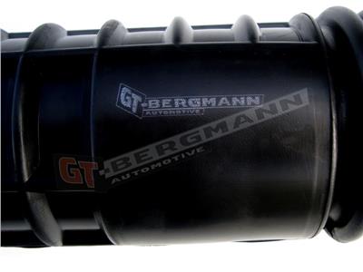GT BERGMANN GT52-162 EAN: 5907764514048.