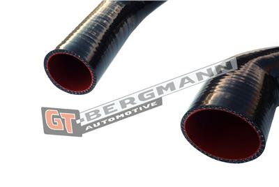 GT BERGMANN GT52-252 EAN: 5907764517612.