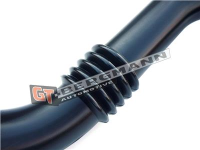 GT BERGMANN GT52-177 EAN: 5907764515106.