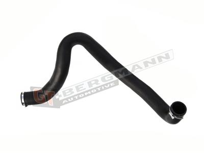 GT BERGMANN GT52-188 EAN: 5907764515236.