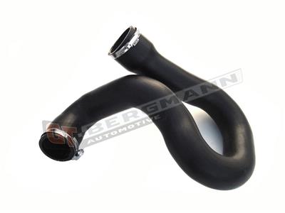 GT BERGMANN GT52-189 EAN: 5907764515243.