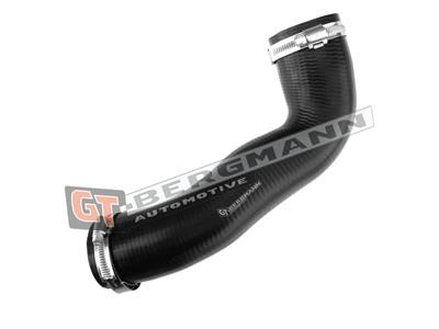 GT BERGMANN GT52-198 EAN: 5907764515687.