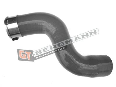 GT BERGMANN GT52-200 EAN: 5907764515656.
