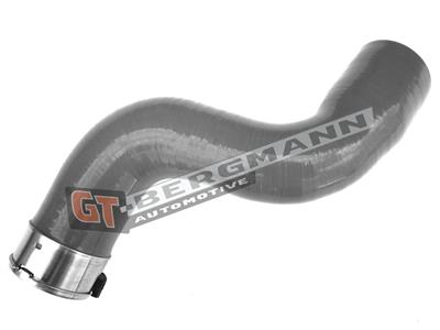 GT BERGMANN GT52-200 EAN: 5907764515656.