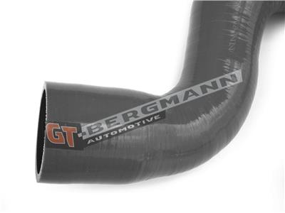 GT BERGMANN GT52-200 EAN: 5907764515656.