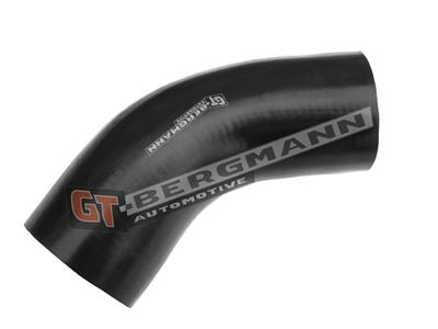 GT BERGMANN GT52-209 EAN: 5907764515786.