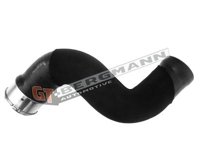 GT BERGMANN GT52-227 EAN: 5907764516875.