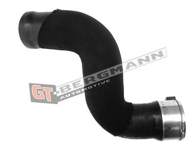 GT BERGMANN GT52-227 EAN: 5907764516875.