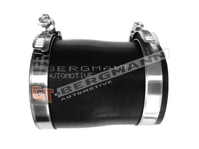 GT BERGMANN GT52-229 EAN: 5907764516943.