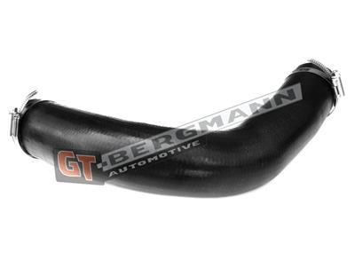 GT BERGMANN GT52-230 EAN: 5907764516950.