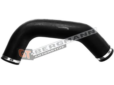 GT BERGMANN GT52-234 EAN: 5907764516998.