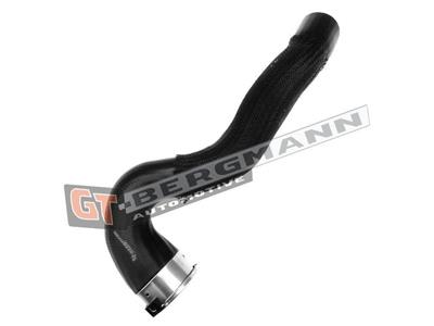 GT BERGMANN GT52-240 EAN: 5907764517292.