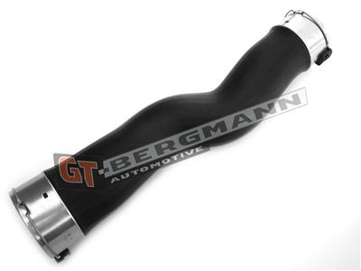 GT BERGMANN GT52-246 EAN: 5907764517490.