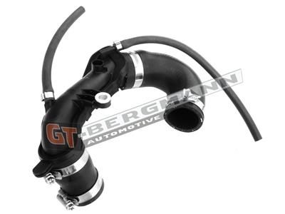 GT BERGMANN GT52-250 EAN: 5907764517599.