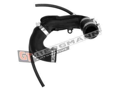 GT BERGMANN GT52-250 EAN: 5907764517599.