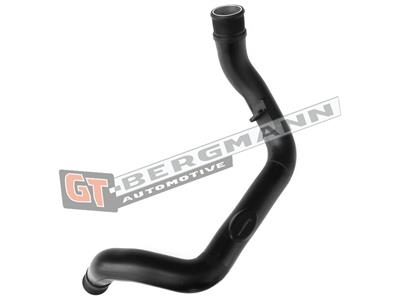 GT BERGMANN GT52-259 EAN: 5907764517735.