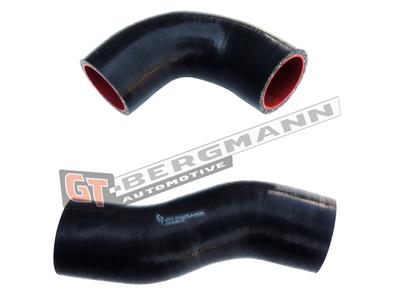 GT BERGMANN GT52-263 EAN: 5907764517773.