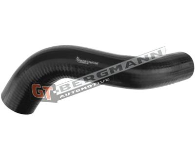 GT BERGMANN GT52-276 EAN: 5907764518299.