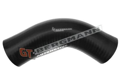 GT BERGMANN GT52-287 EAN: 5907764518404.