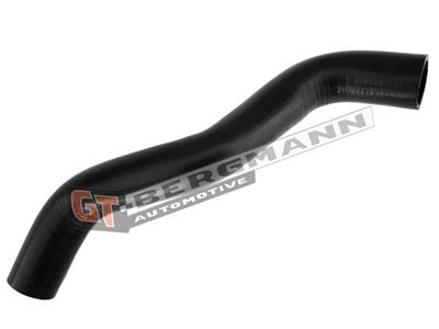 GT BERGMANN GT52-290 EAN: 5907764518435.
