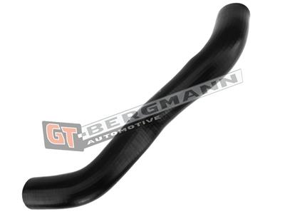 GT BERGMANN GT52-290 EAN: 5907764518435.