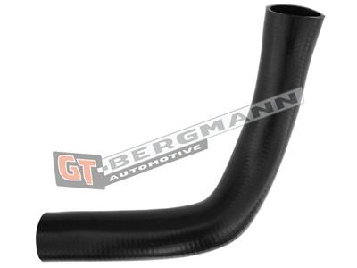 GT52-294
