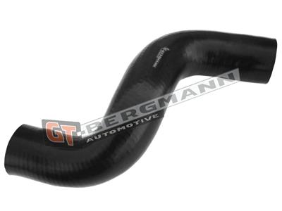 GT BERGMANN GT52-295 EAN: 5907764518480.