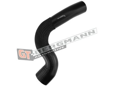 GT BERGMANN GT52-296 EAN: 5907764518497.