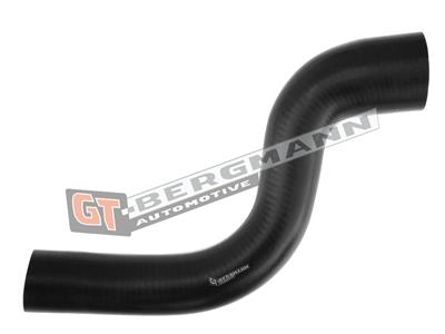 GT52-297