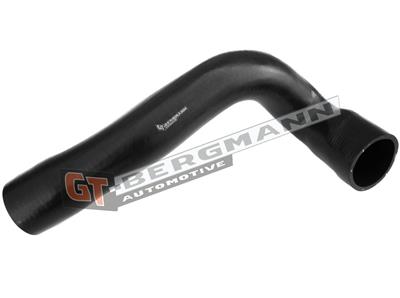 GT52-298