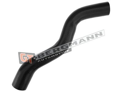 GT52-301