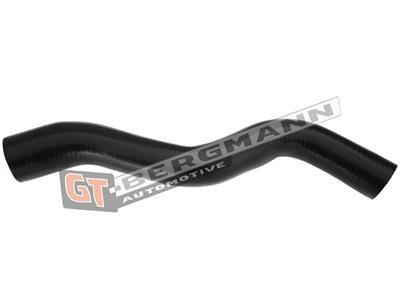 GT52-301