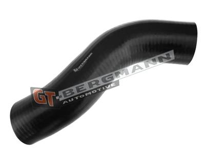 GT52-308