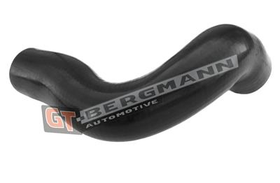 GT BERGMANN GT52-314 EAN: 5907764518671.