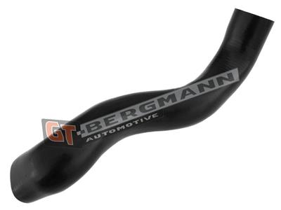 GT BERGMANN GT52-315 EAN: 5907764518688.