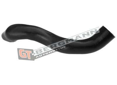 GT BERGMANN GT52-315 EAN: 5907764518688.