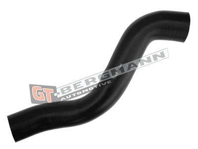 GT BERGMANN GT52-318 EAN: 5907764518718.