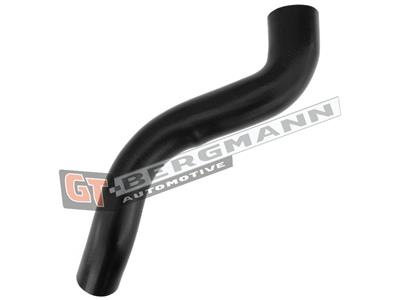 GT BERGMANN GT52-318 EAN: 5907764518718.