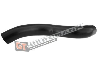GT BERGMANN GT52-318 EAN: 5907764518718.