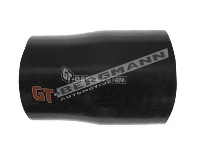 GT52-321